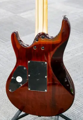 Gain by FGN Deluxe Elan - Tobacco Burst 2